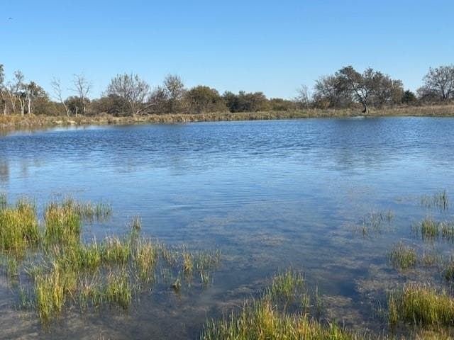 124.75 acres in Denton County - photo 6