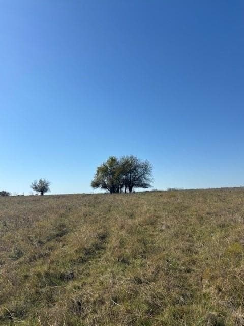 124.75 acres in Denton County - photo 7