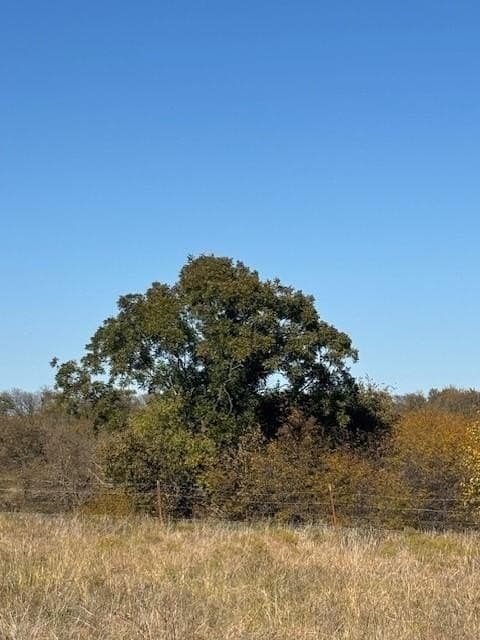 124.75 acres in Denton County - photo 4