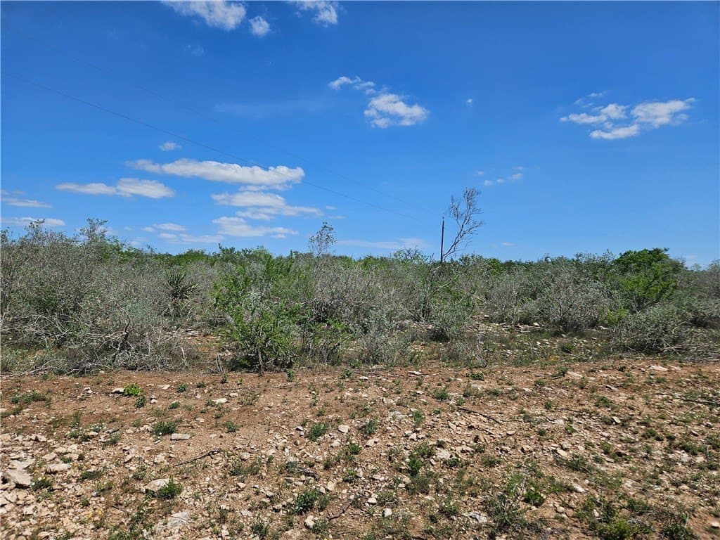 99.2 acres in Duval County - photo 17