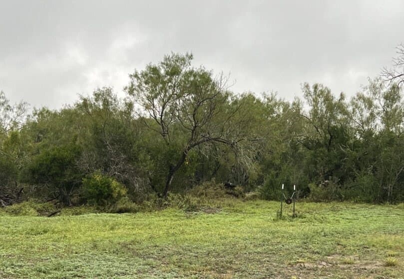 99.2 acres in Duval County - photo 23