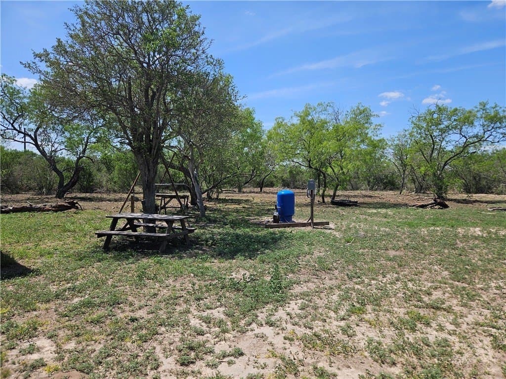 99.2 acres in Duval County - photo 6