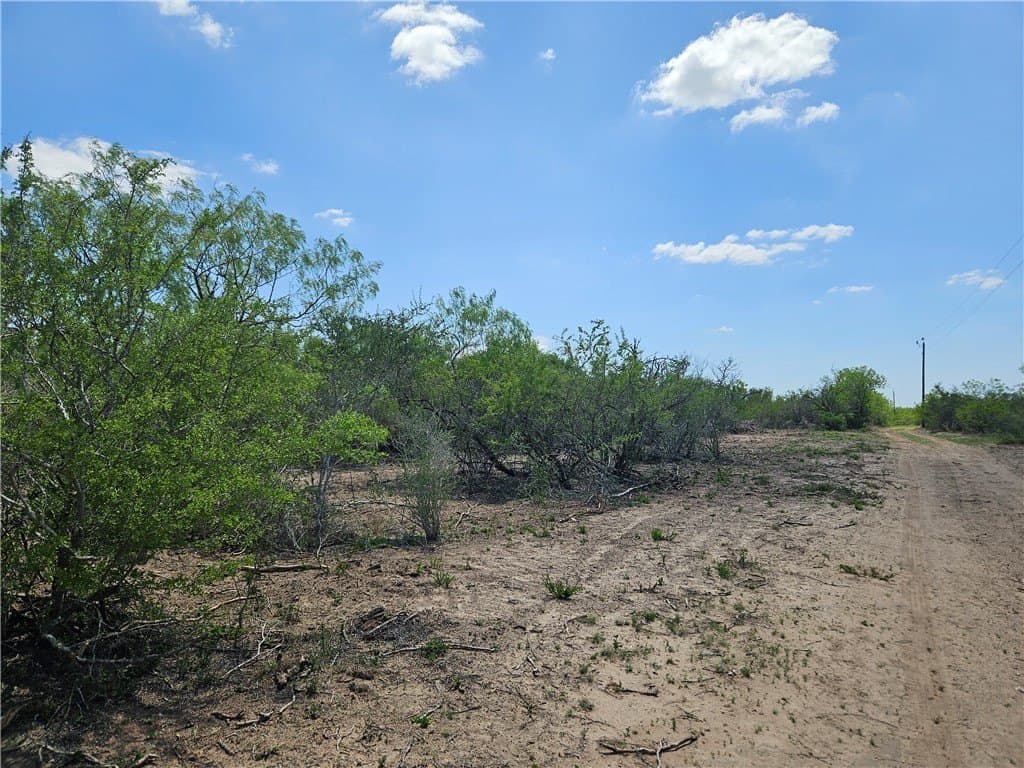 99.2 acres in Duval County - photo 15