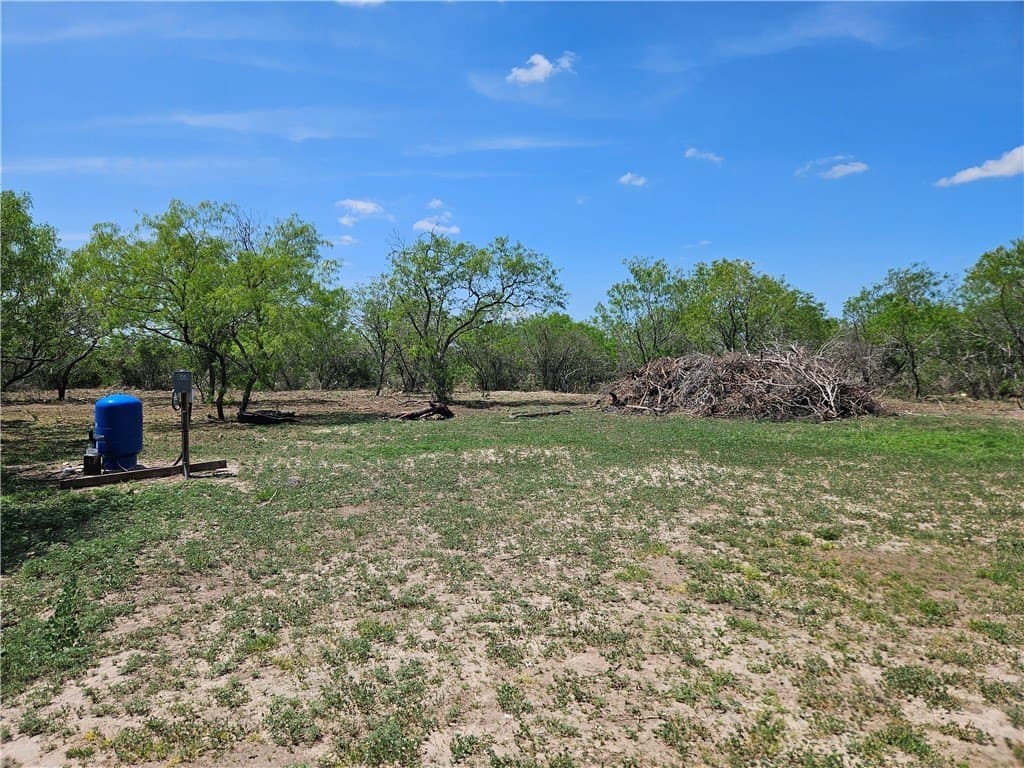99.2 acres in Duval County - photo 7