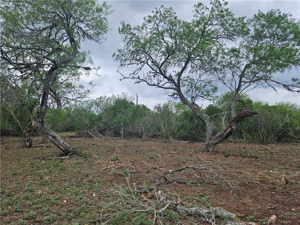 99.2 acres in Duval County - photo 5