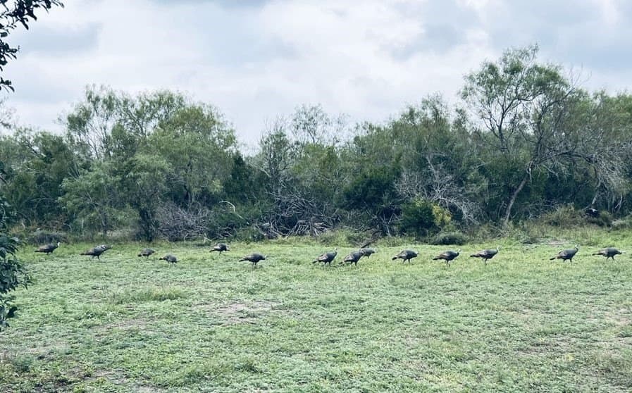 99.2 acres in Duval County - photo 22