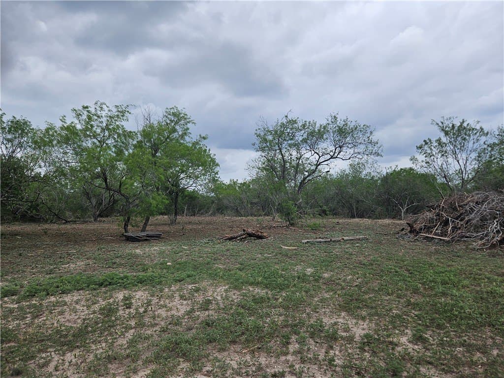 99.2 acres in Duval County - photo 21