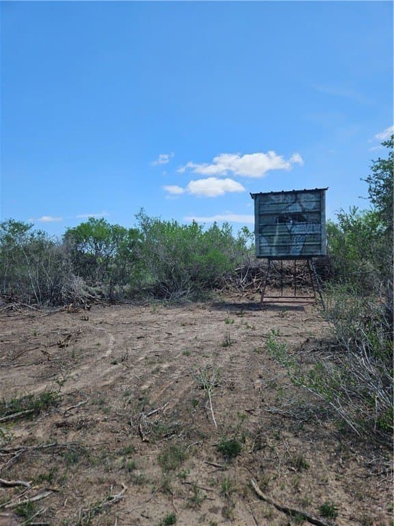 99.2 acres in Duval County - photo 14