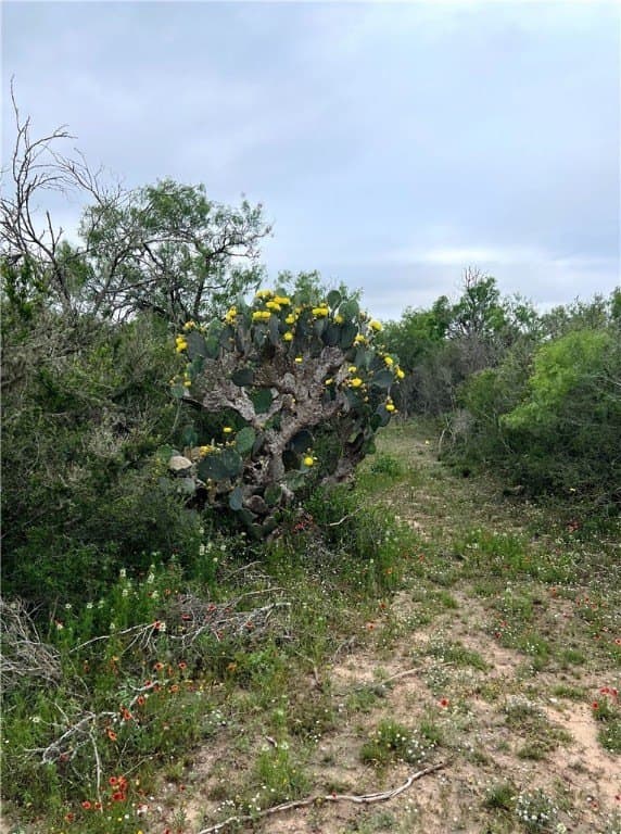 99.2 acres in Duval County - photo 20