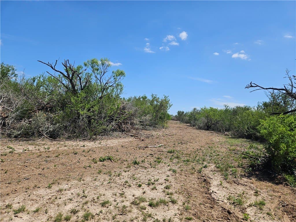 99.2 acres in Duval County - photo 19