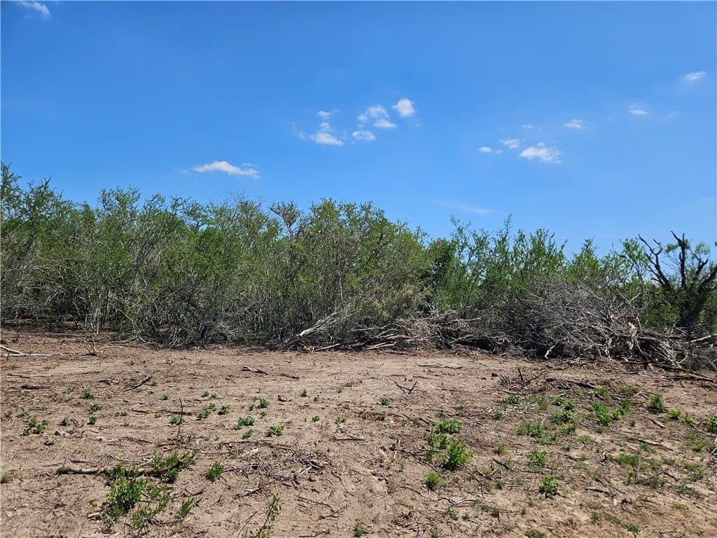 99.2 acres in Duval County - photo 18
