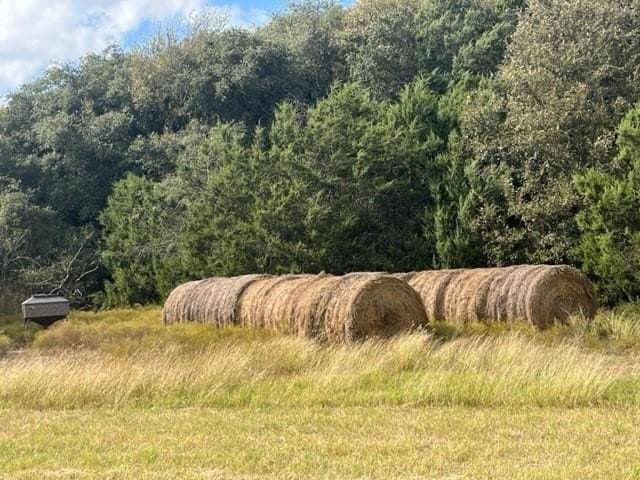 17.29 acres in Bosque County - photo 13