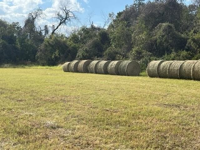 17.29 acres in Bosque County - photo 15