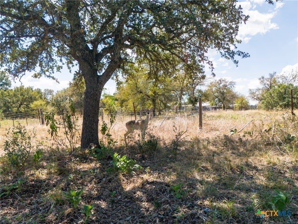 6.65 acres in Bell County - photo 14
