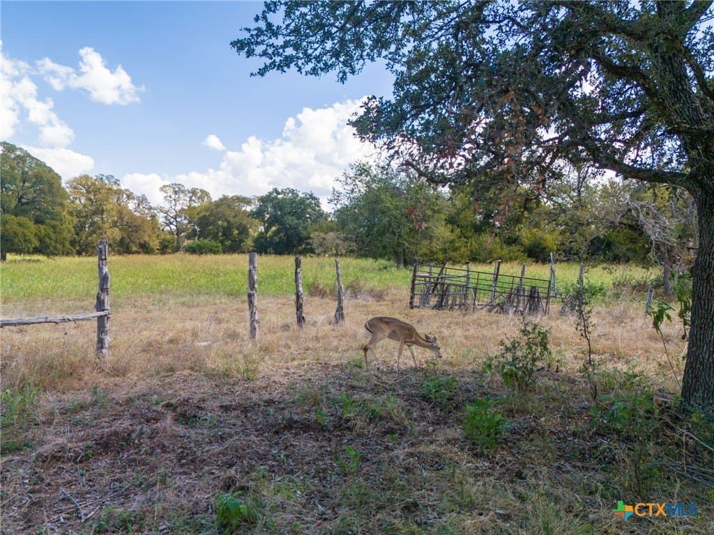 6.65 acres in Bell County - photo 13