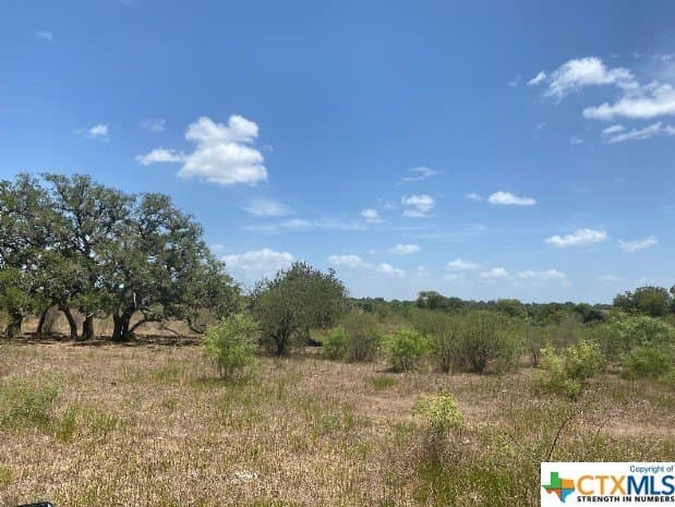 20 acres in DeWitt County - photo 4