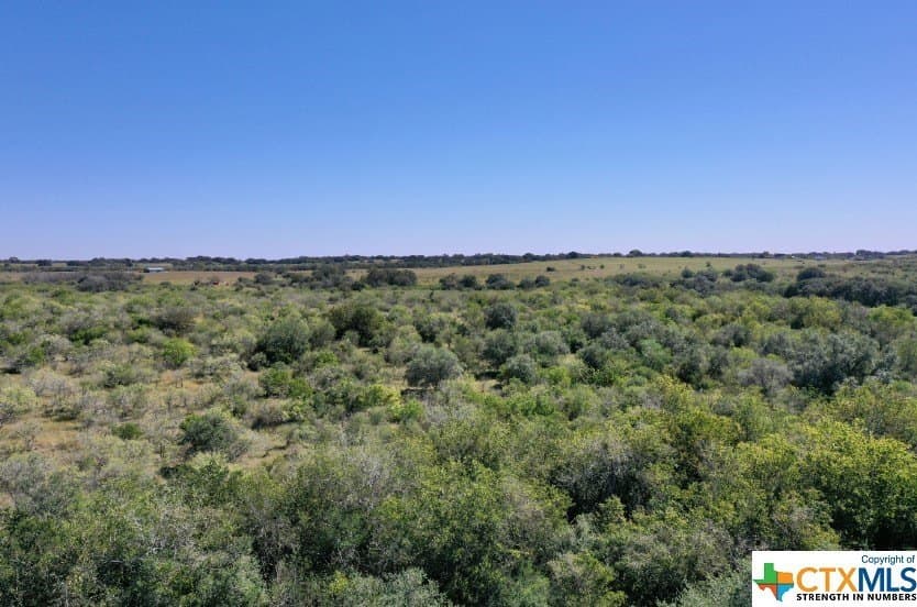 20 acres in DeWitt County - photo 3