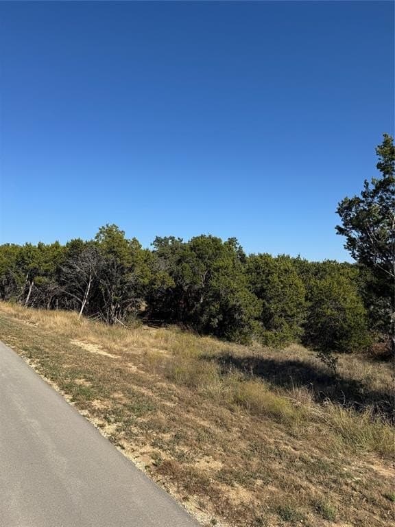 0.15 acres in Johnson County - photo 19