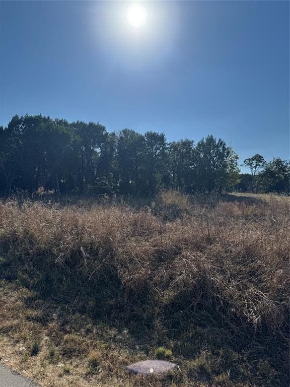 0.15 acres in Johnson County - photo 13