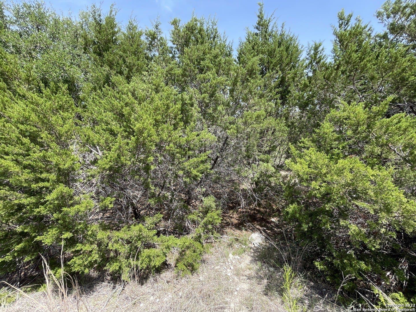 0.89 acres in Comal County - photo 3