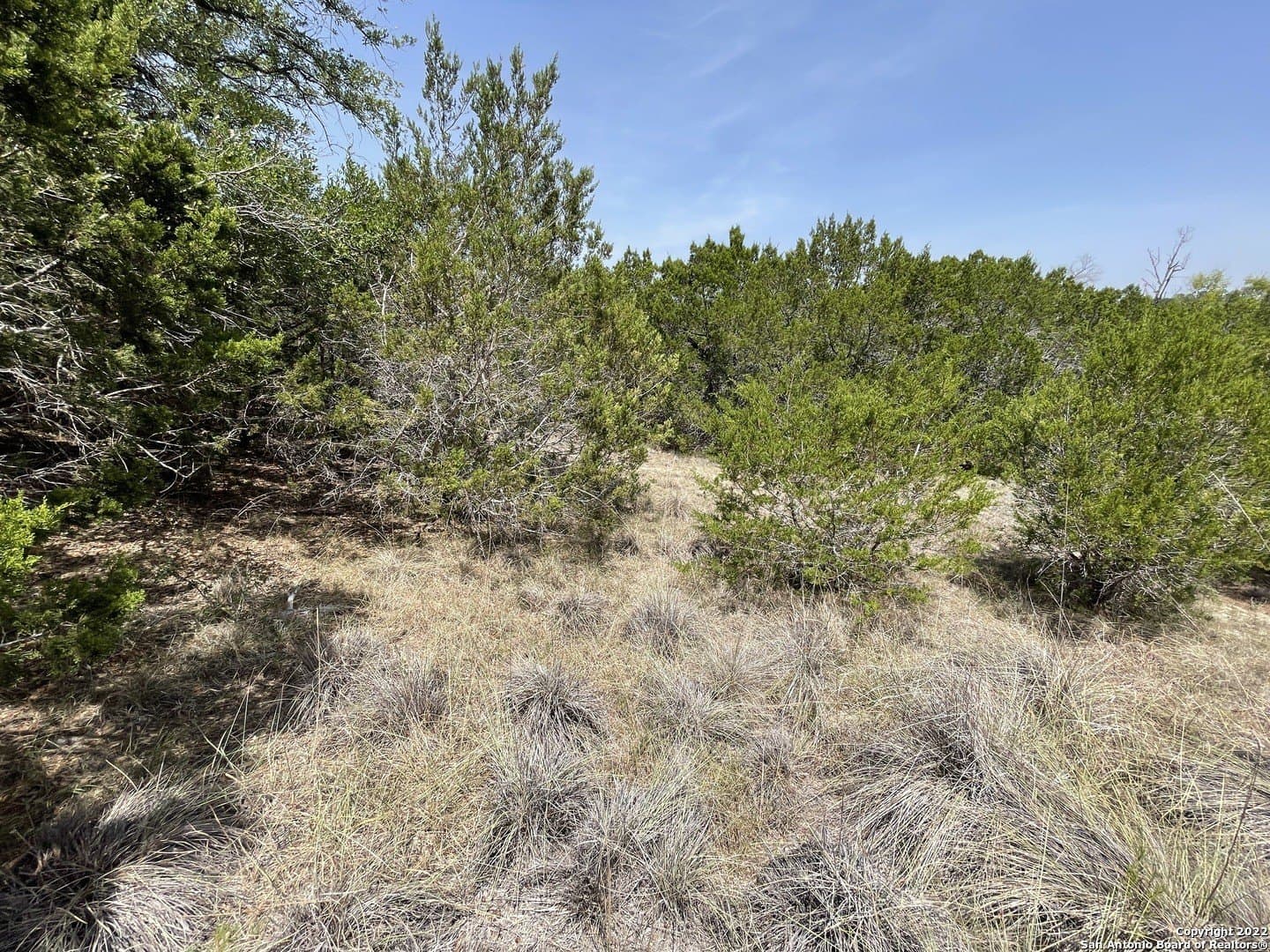 0.89 acres in Comal County - photo 7