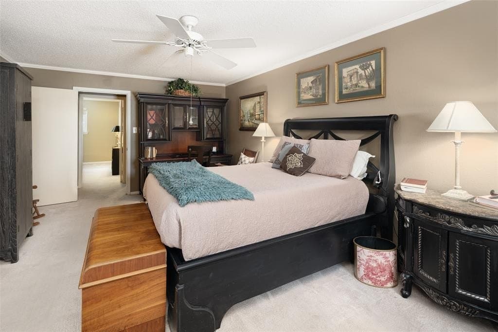 11.05 acres in Dallas County - photo 19