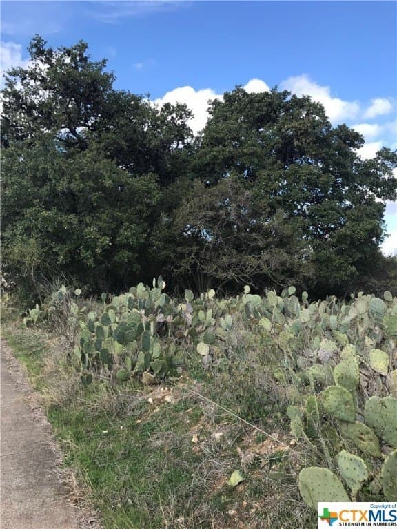 4.12 acres in Hays County - photo 3