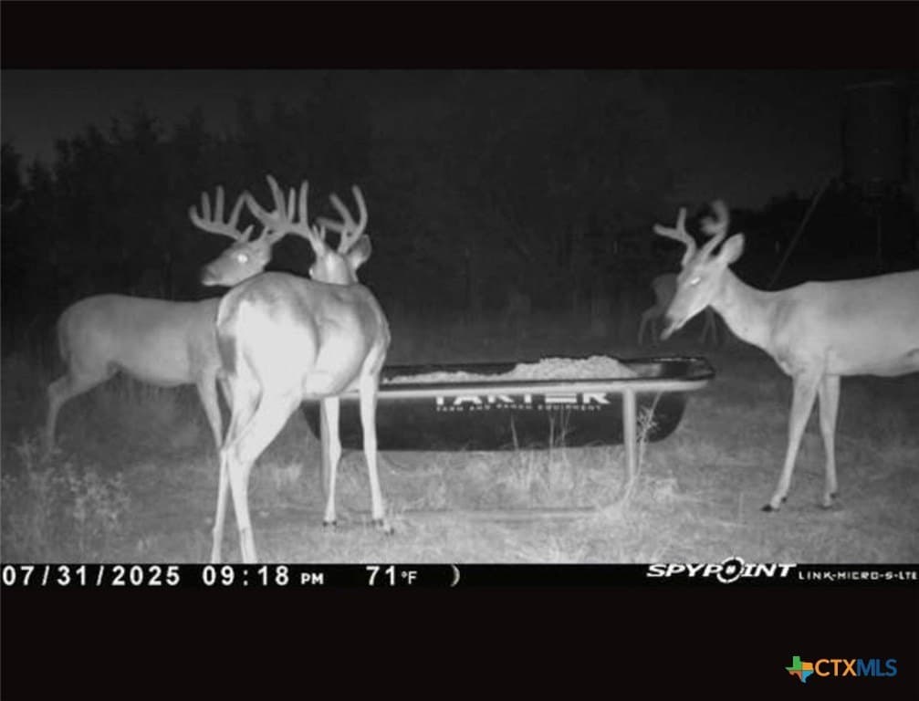 20 acres in Lampasas County - photo 3