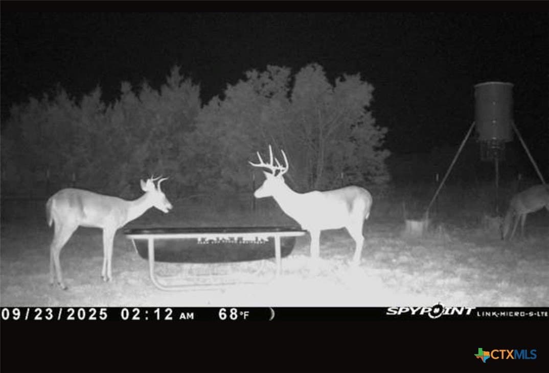 20 acres in Lampasas County - photo 2