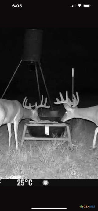 20 acres in Lampasas County - photo 13