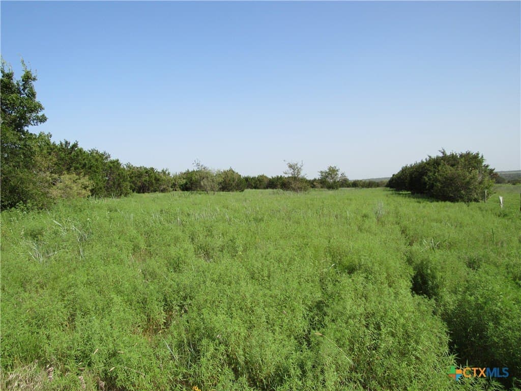 20 acres in Lampasas County - photo 17