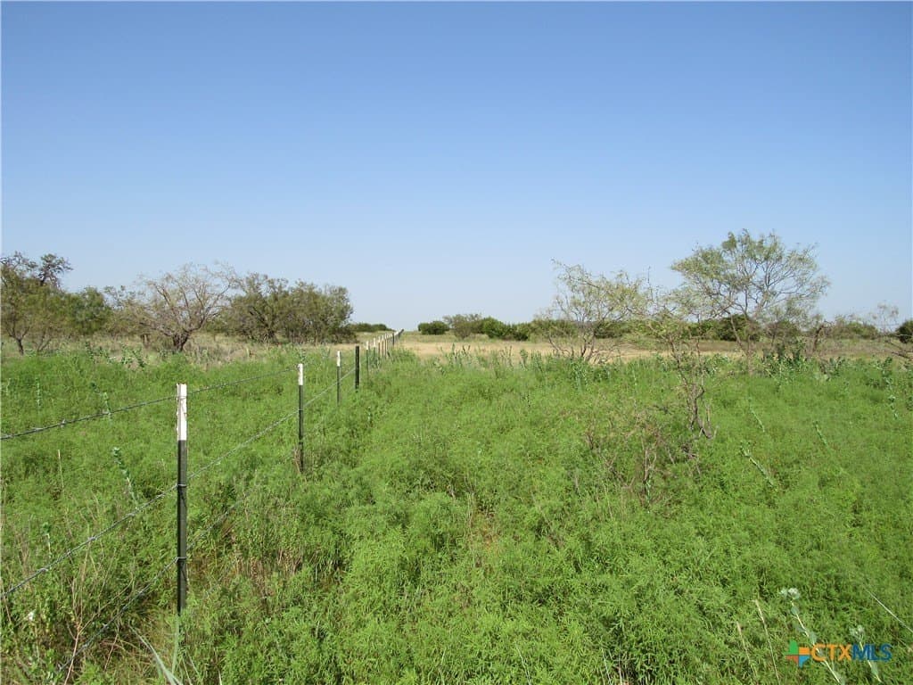 20 acres in Lampasas County - photo 18