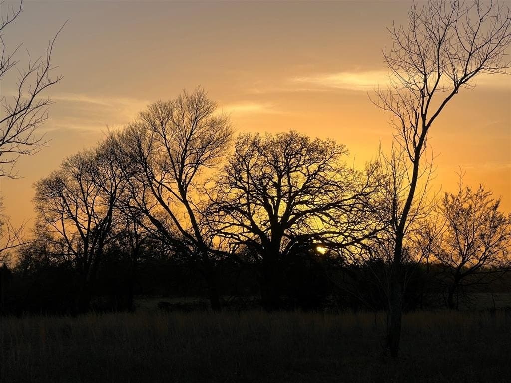 20 acres in Van Zandt County - photo 9