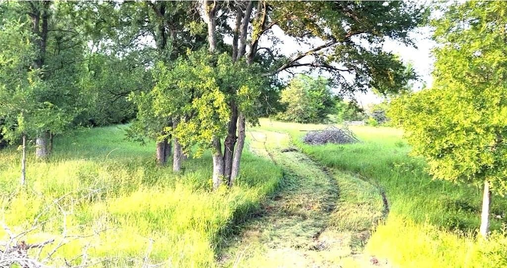 20 acres in Van Zandt County - photo 15