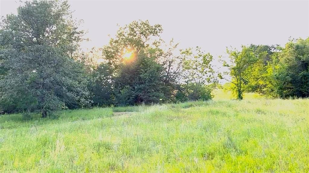 20 acres in Van Zandt County - photo 16