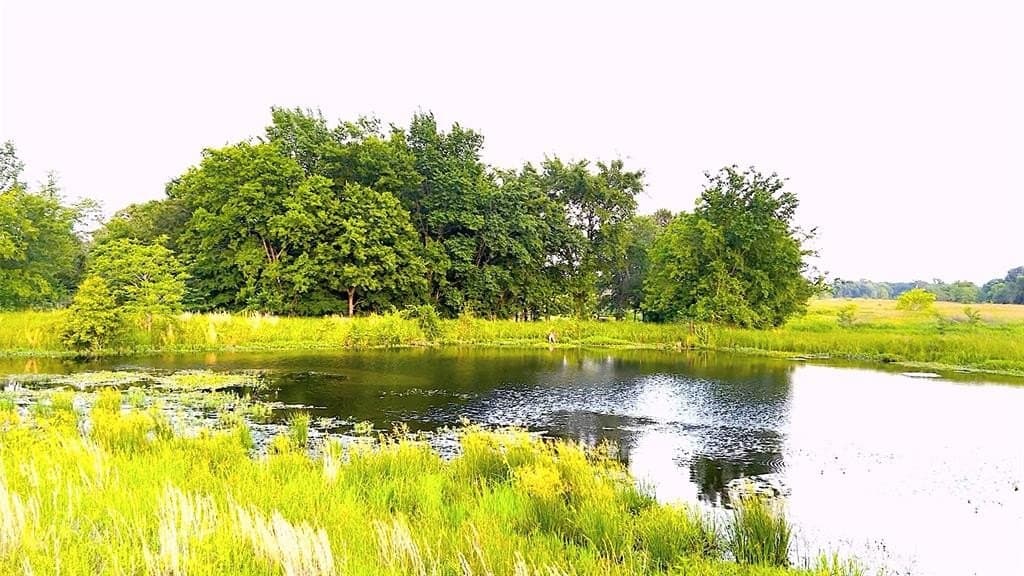 20 acres in Van Zandt County - photo 13