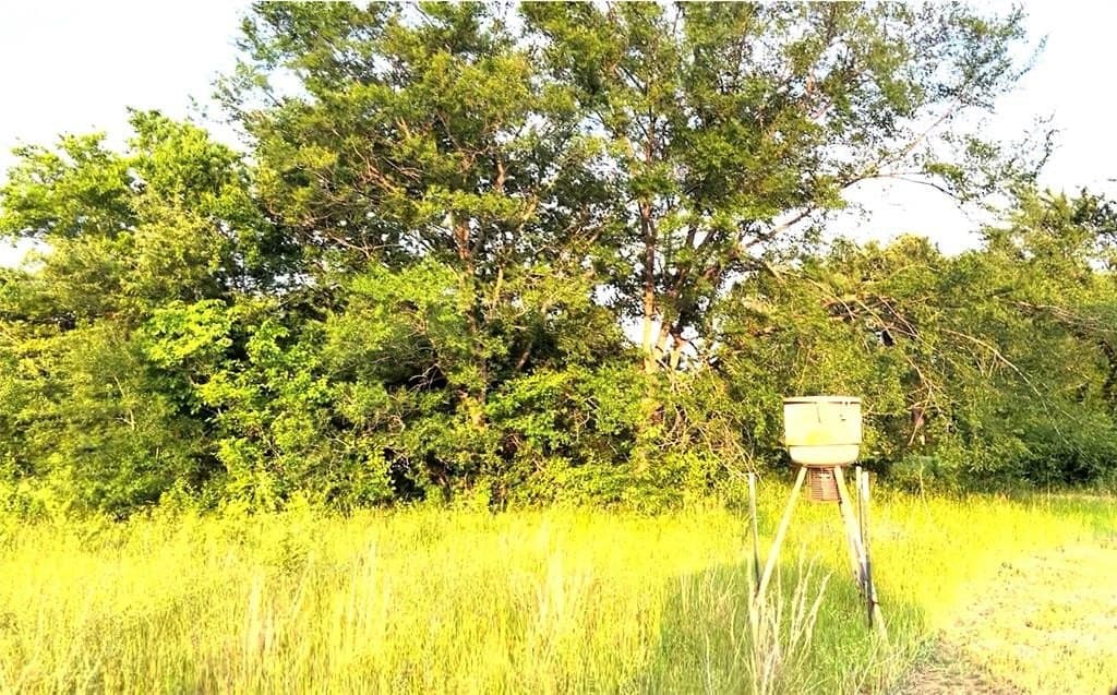 20 acres in Van Zandt County - photo 14