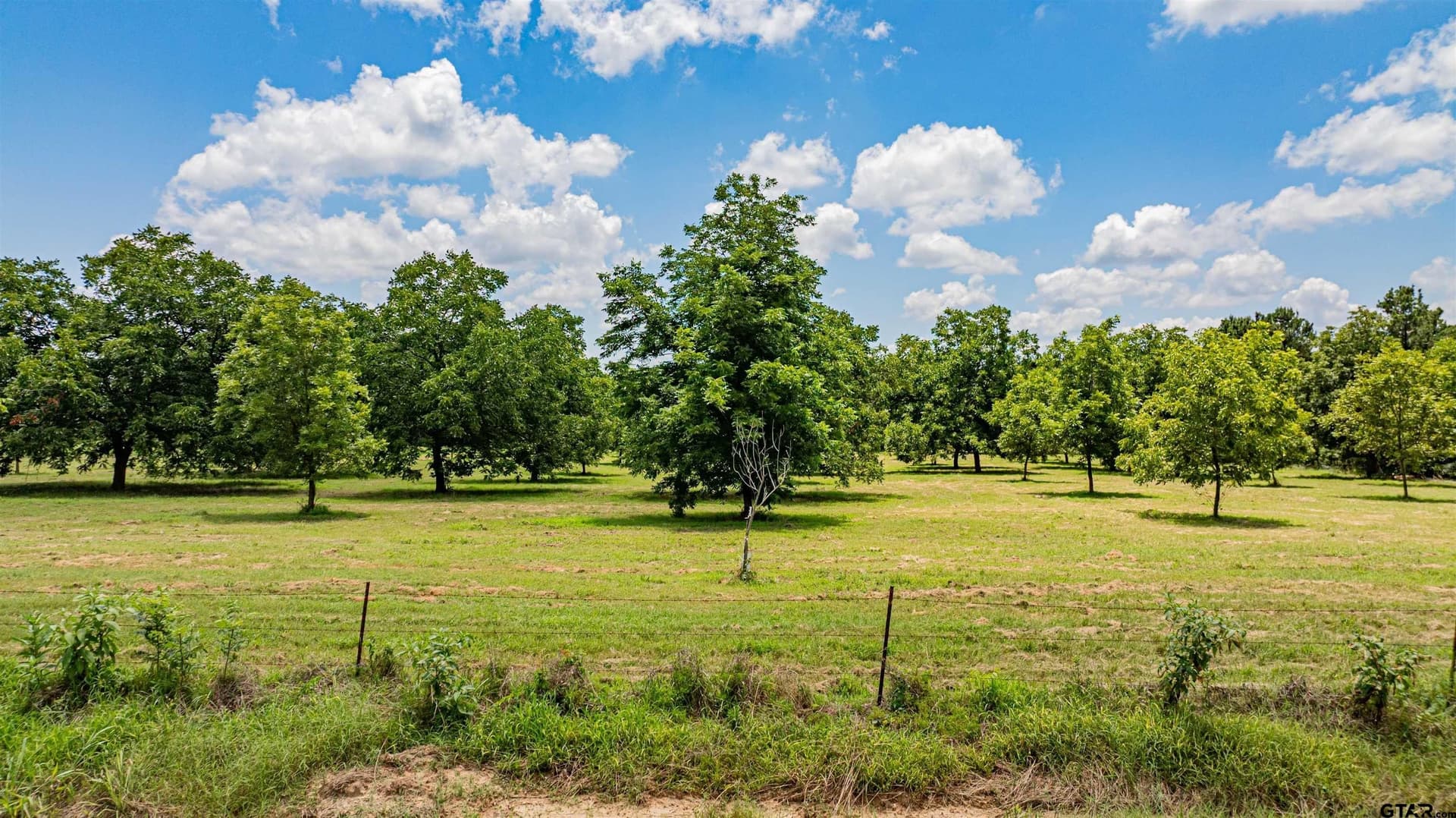 29.71 acres in Franklin County - photo 31