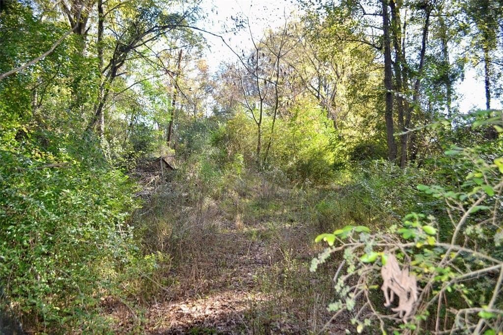 2.41 acres in Harrison County - photo 2