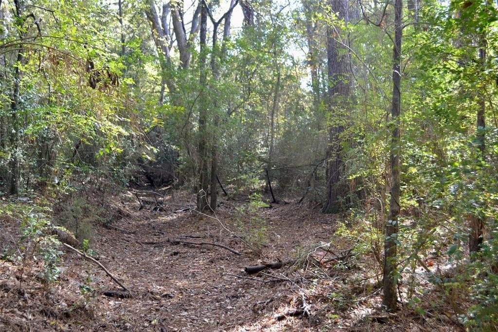 2.41 acres in Harrison County - photo 4