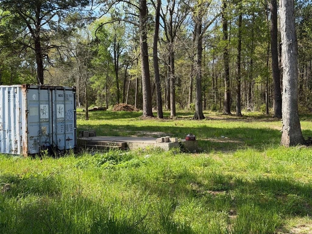 3.06 acres in Tyler County - photo 3