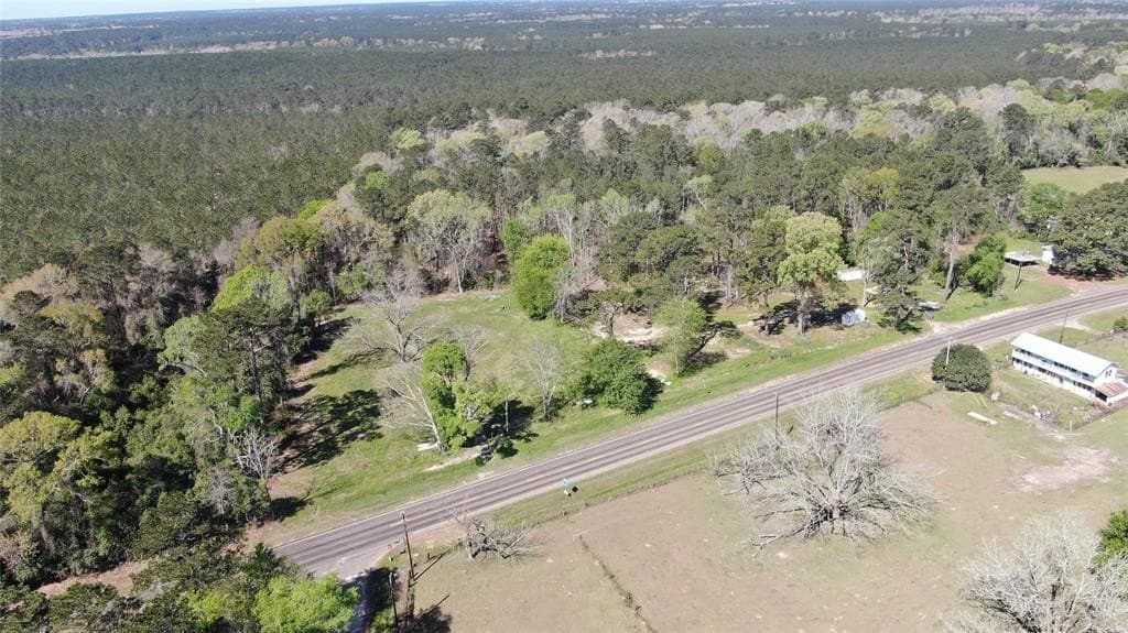 3.06 acres in Tyler County - photo 9