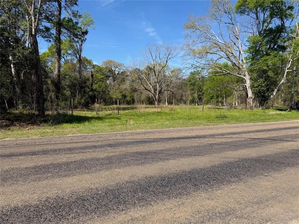 3.06 acres in Tyler County - photo 12