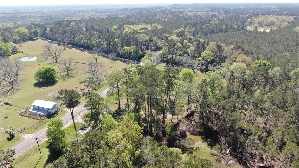 3.06 acres in Tyler County - photo 6