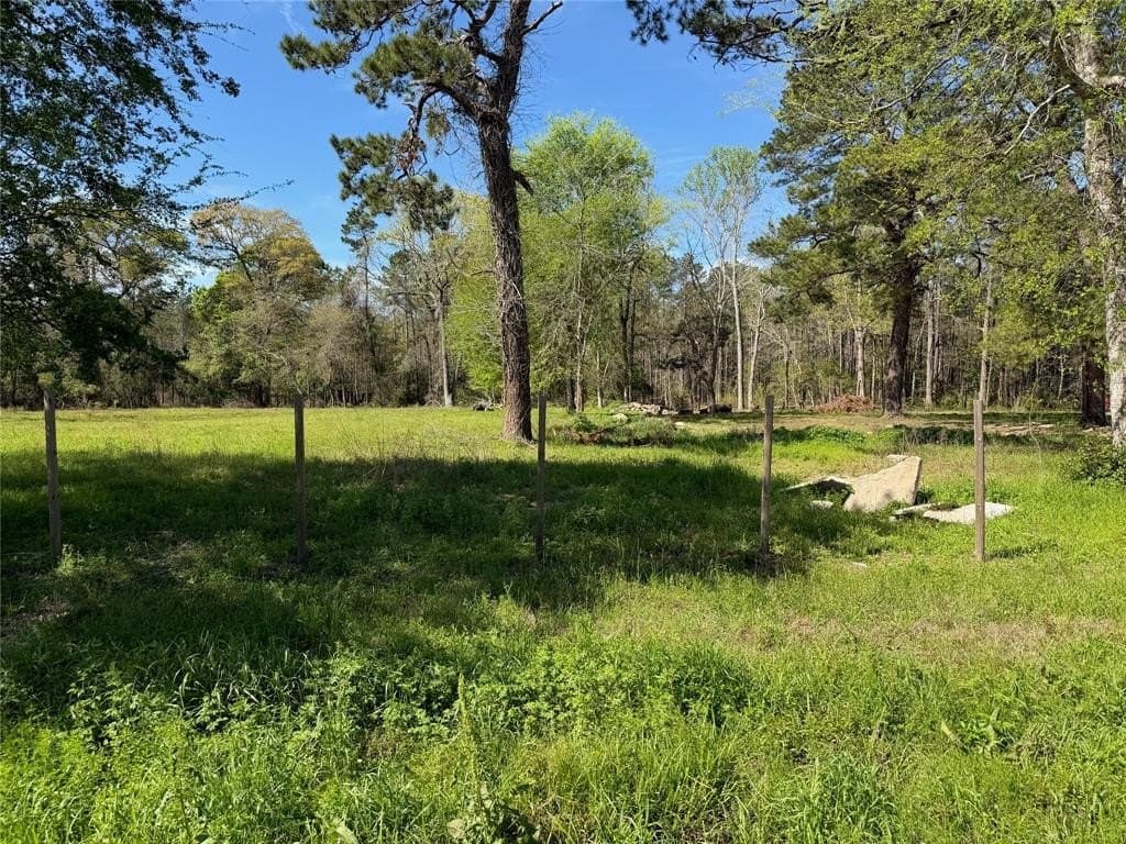 3.06 acres in Tyler County - photo 31