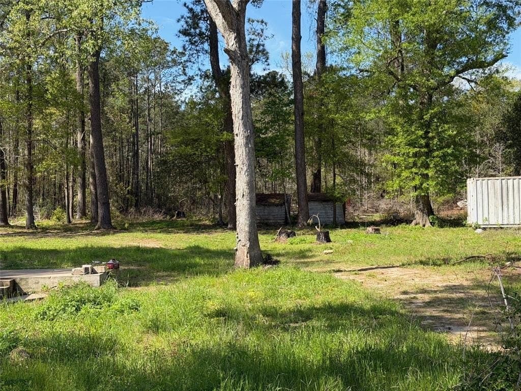 3.06 acres in Tyler County - photo 20