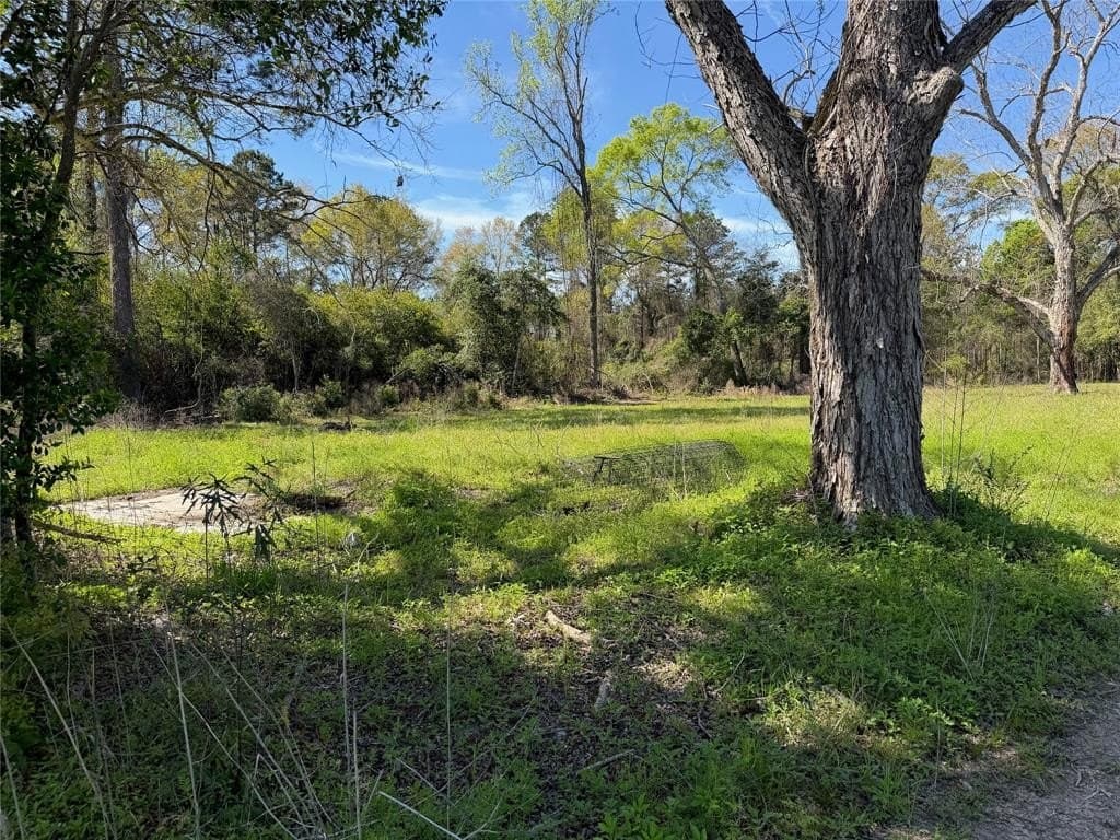 3.06 acres in Tyler County - photo 34