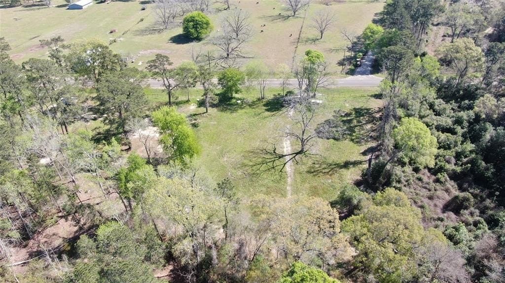 3.06 acres in Tyler County - photo 25