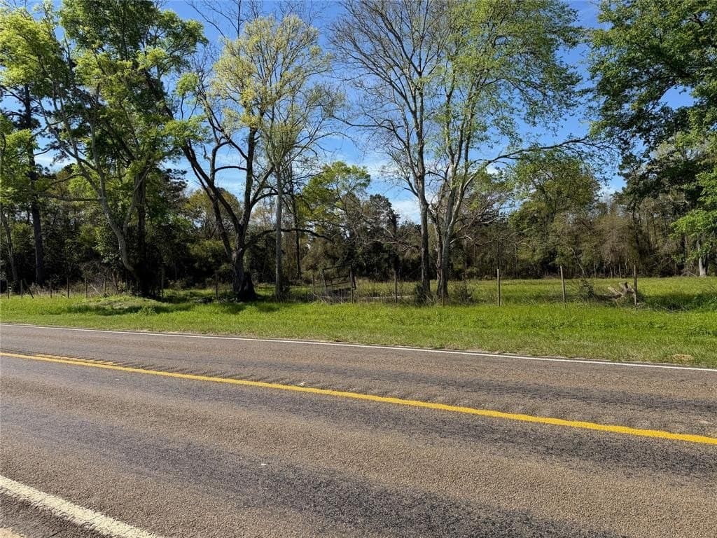 3.06 acres in Tyler County - photo 2