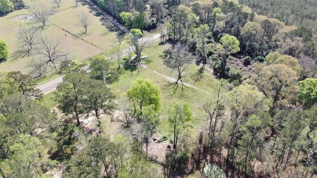 3.06 acres in Tyler County - photo 26